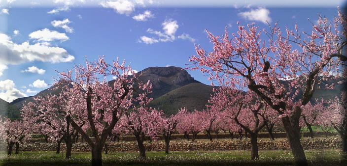 NaturalHomes.es - Alcalali