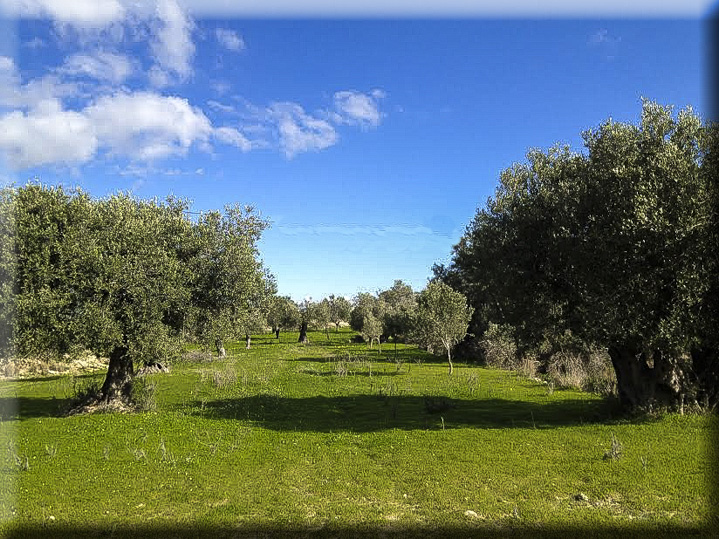 benissa rustica NaturalHomes.es