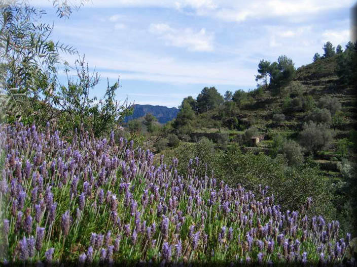 Marnes NaturalHomes.es