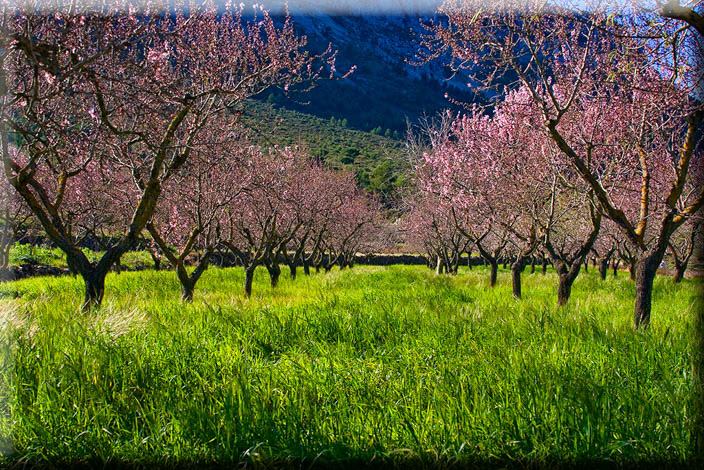 Marnes NaturalHomes.es