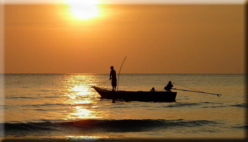 NaturalHomes.es - Moraira