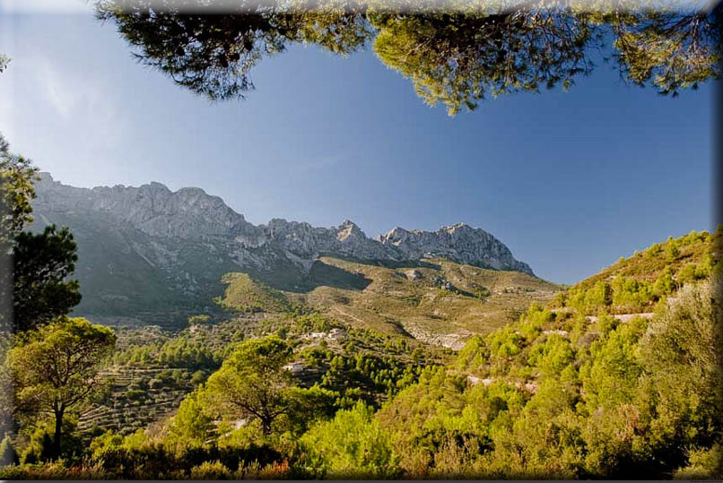 NaturalHomes.es Finca For Sale Ruins plots Bernia Jalon CostaBlanca