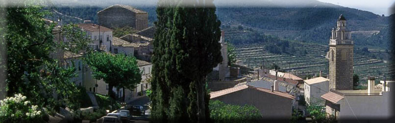 NaturalHomes.es_Torremanzanas