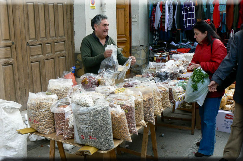 NaturalHomes.es_Torremanzanas